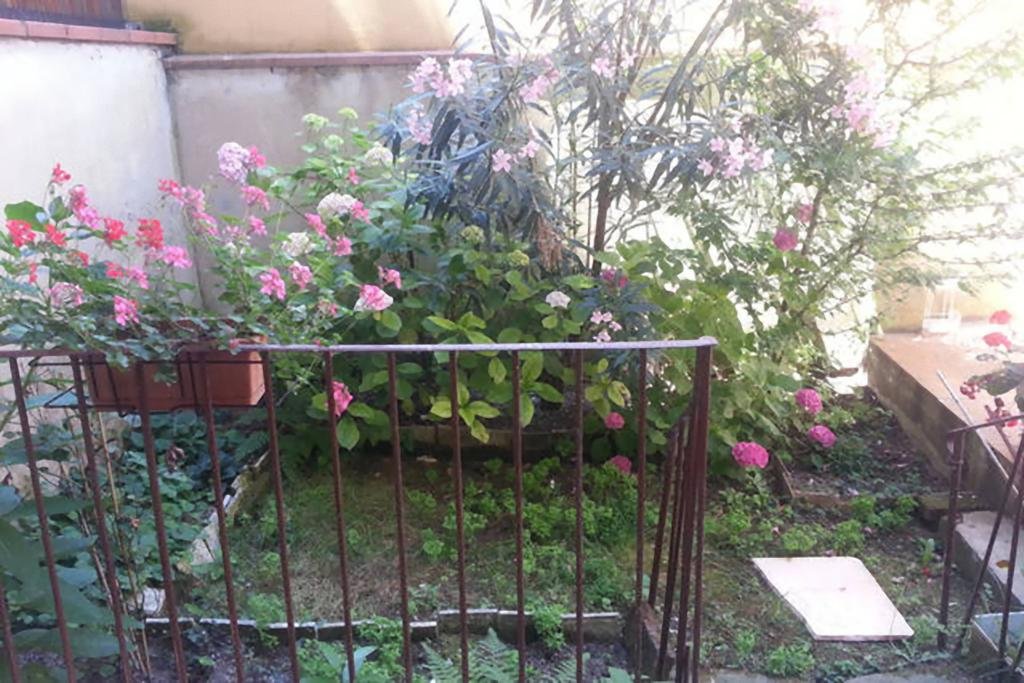 Фото Flospirit - Bellini