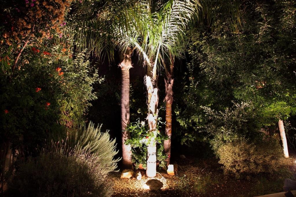 Фото B&b Villa il Sughero