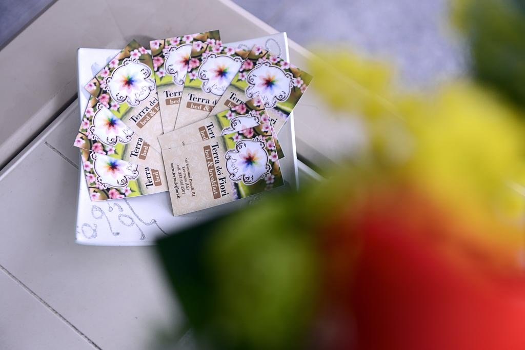 Фото B&b Terra dei Fiori