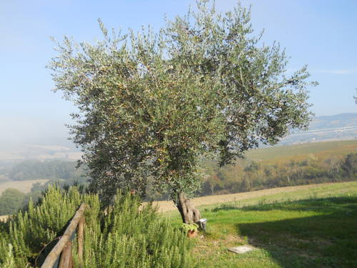 Фото Casale Becetole