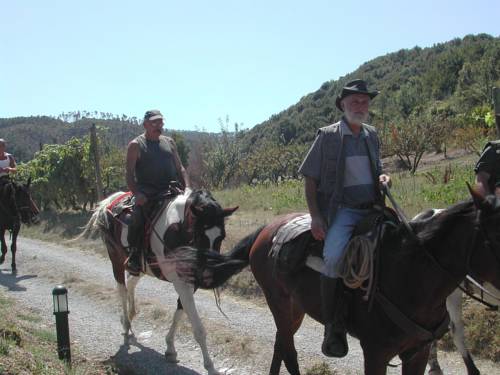 Фото Agriturismo Le Valli