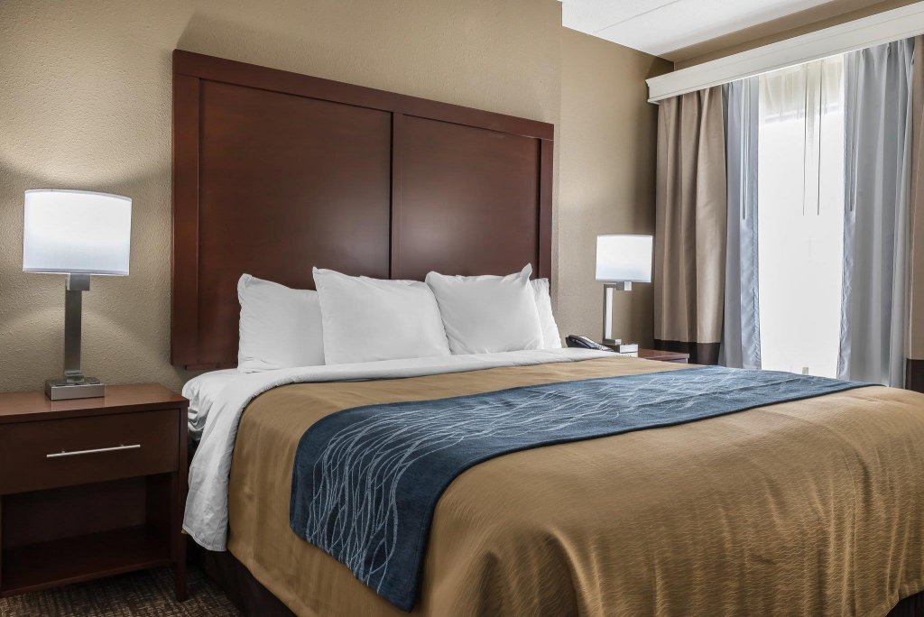 Фото Comfort Inn Indianapolis North - Carmel