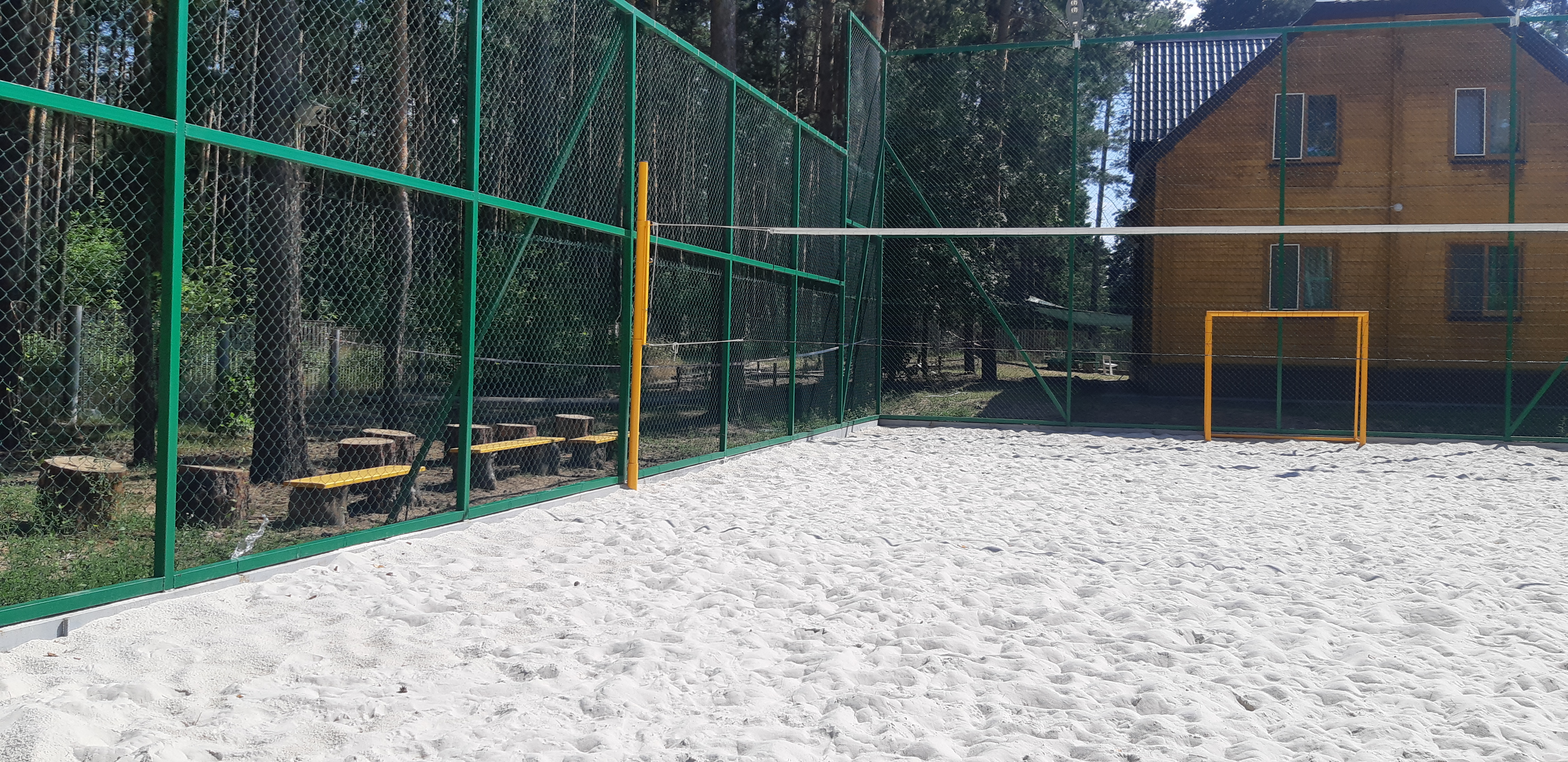 Фото Сосновый бор