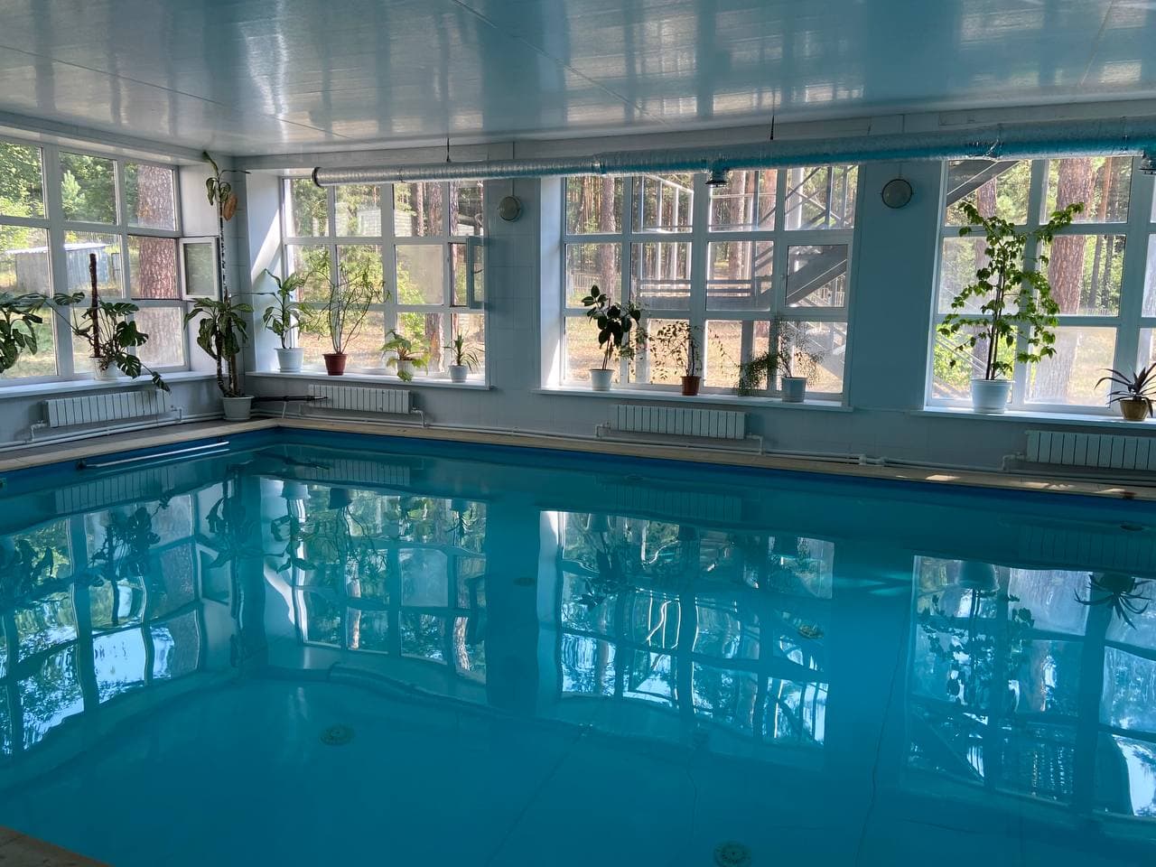 Фото Сосновый бор