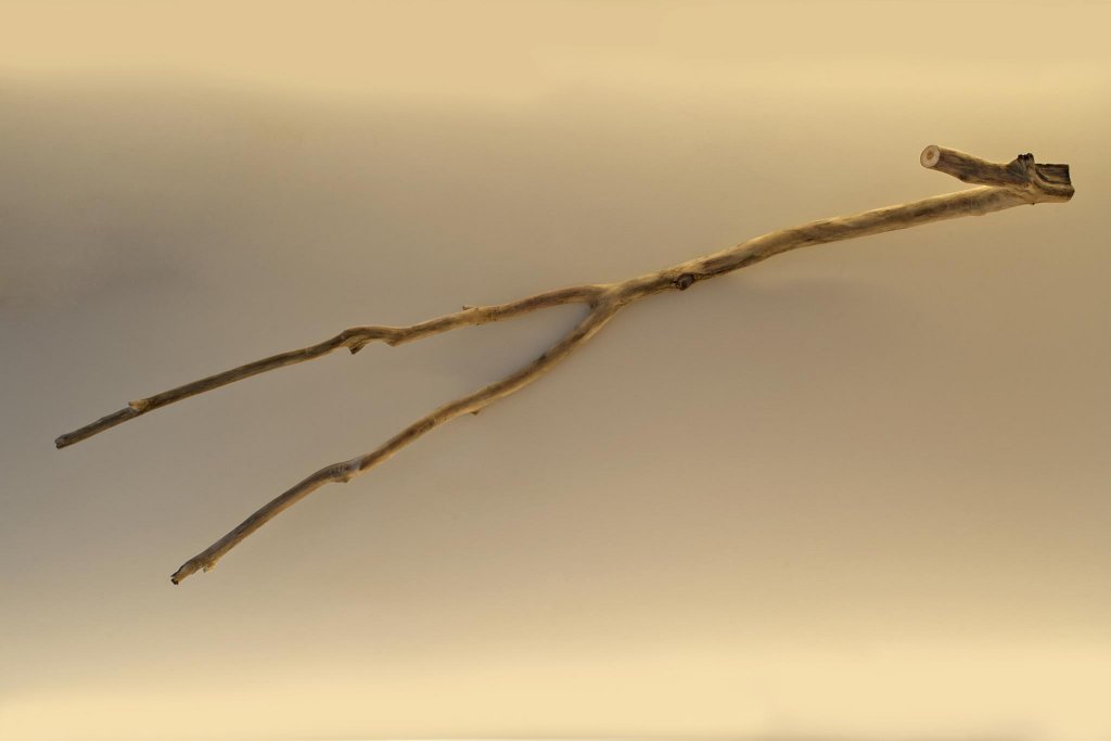 Фото Ricci Hotel