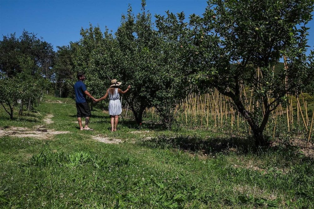 Фото Ristoro Appennino