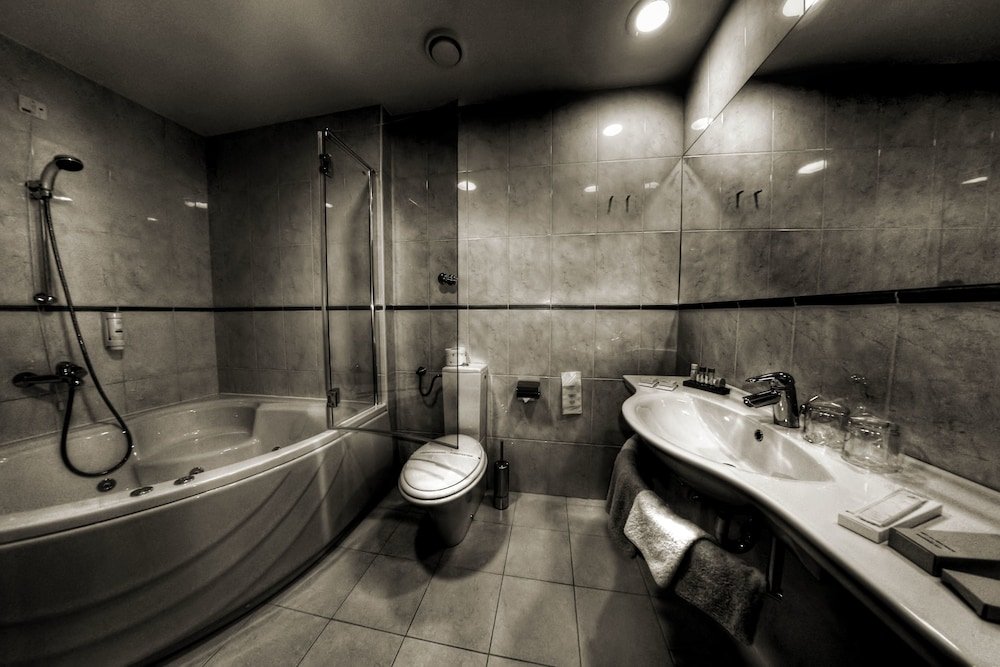 Фото Hotel Lav Vukovar