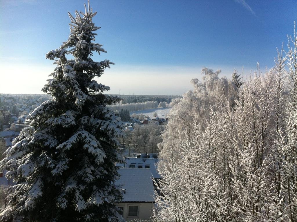 Фото Concordia Harzapart