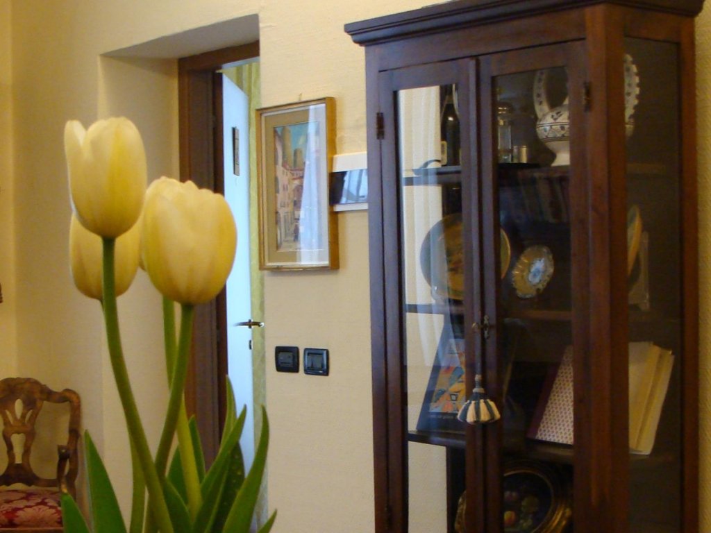 Фото Soggiorno Michelangelo