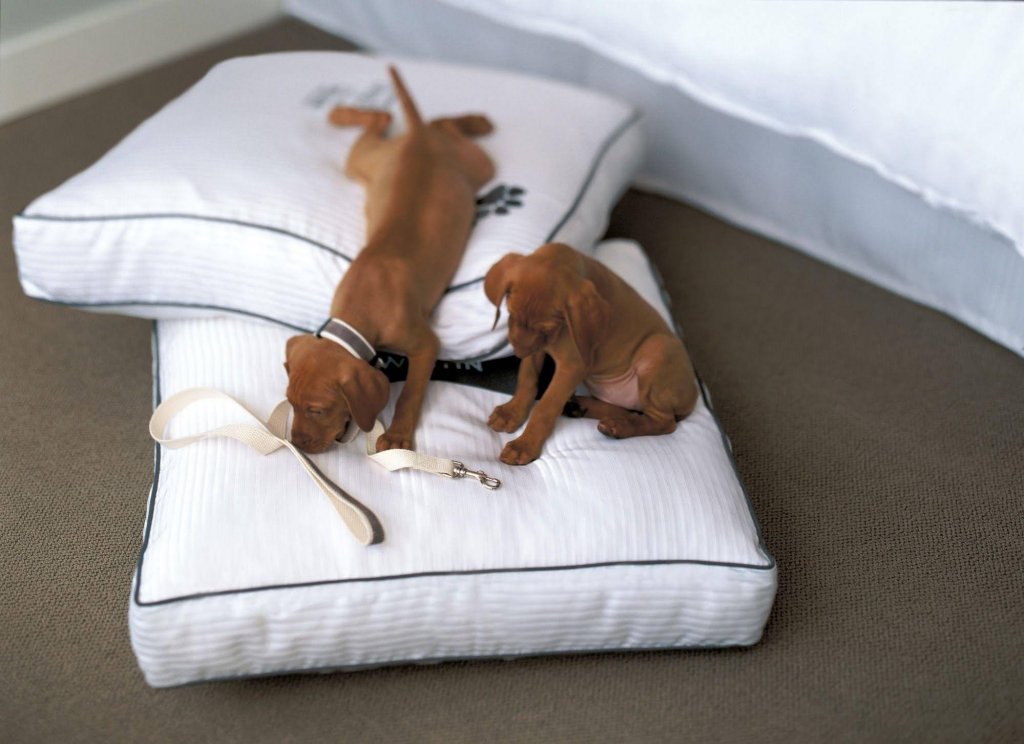 Фото The Westin by LaTour