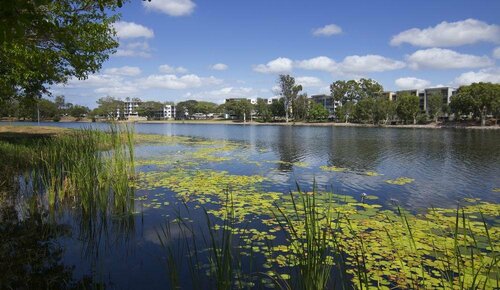 Гостиница Jacana Apartments