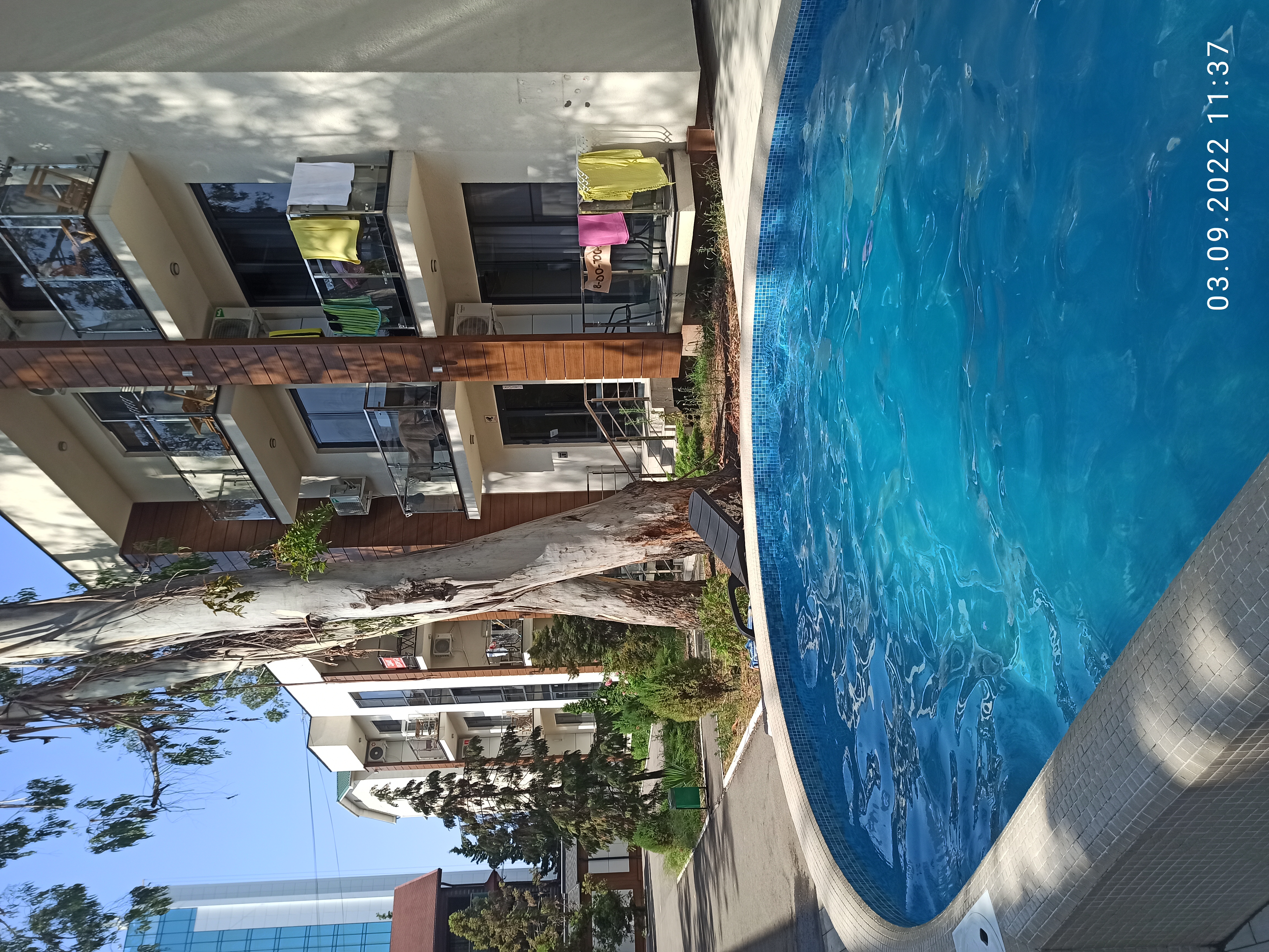 Фото Видный