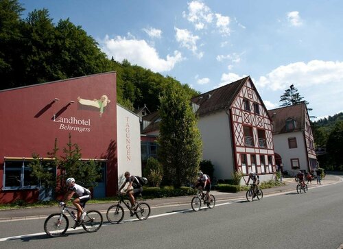 Гостиница Behringers Freizeit - und Tagungshotel