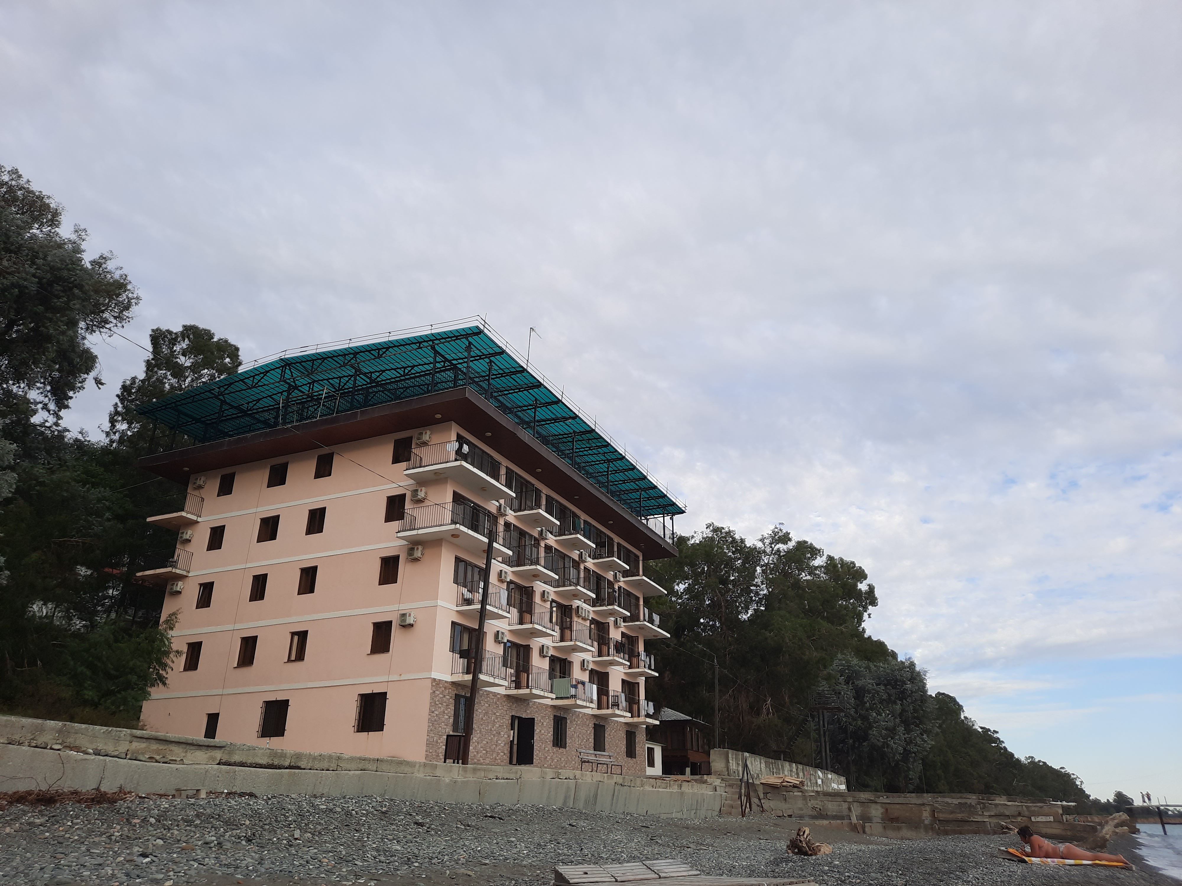 Фото Эвкалиптовая роща