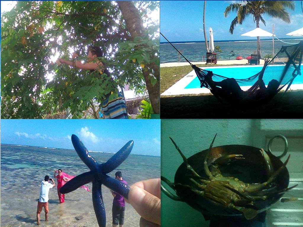 Фото Dreams Homestay