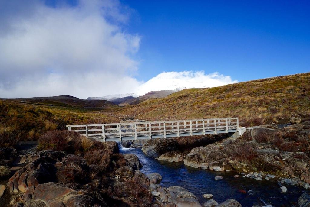 Фото Judges Pool Motel Turangi