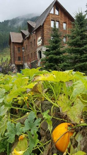 Гостиница Fortuna Eco - Boutique Hotel в Харгите