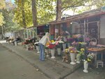 Цветочный Рынок (ulitsa Chekhova, 6Е), mercado de flores