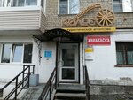 Koleso Puteshestvii (Kalinina Street, 98), travel agency