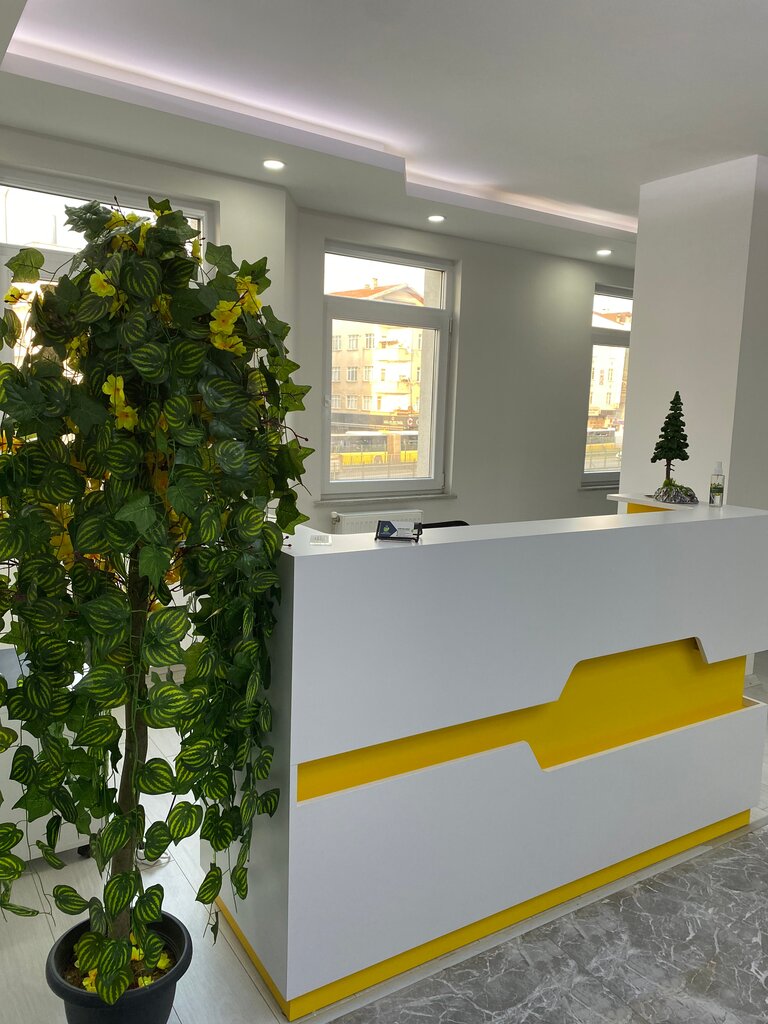 Private practice doctors Sermin Genc Akbulat Nutrition and Consulting Center, Istanbul, photo
