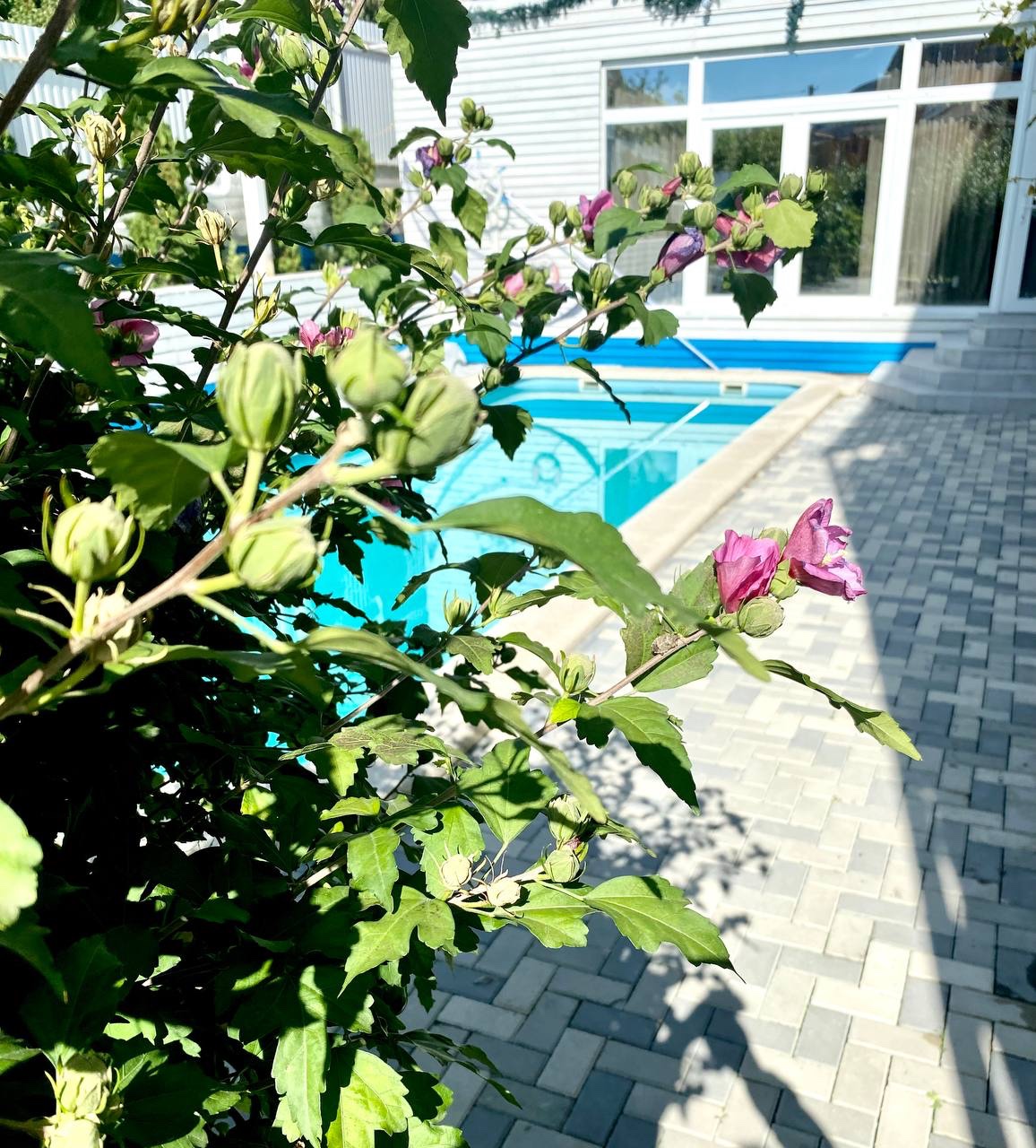 Фото Континент Резорт