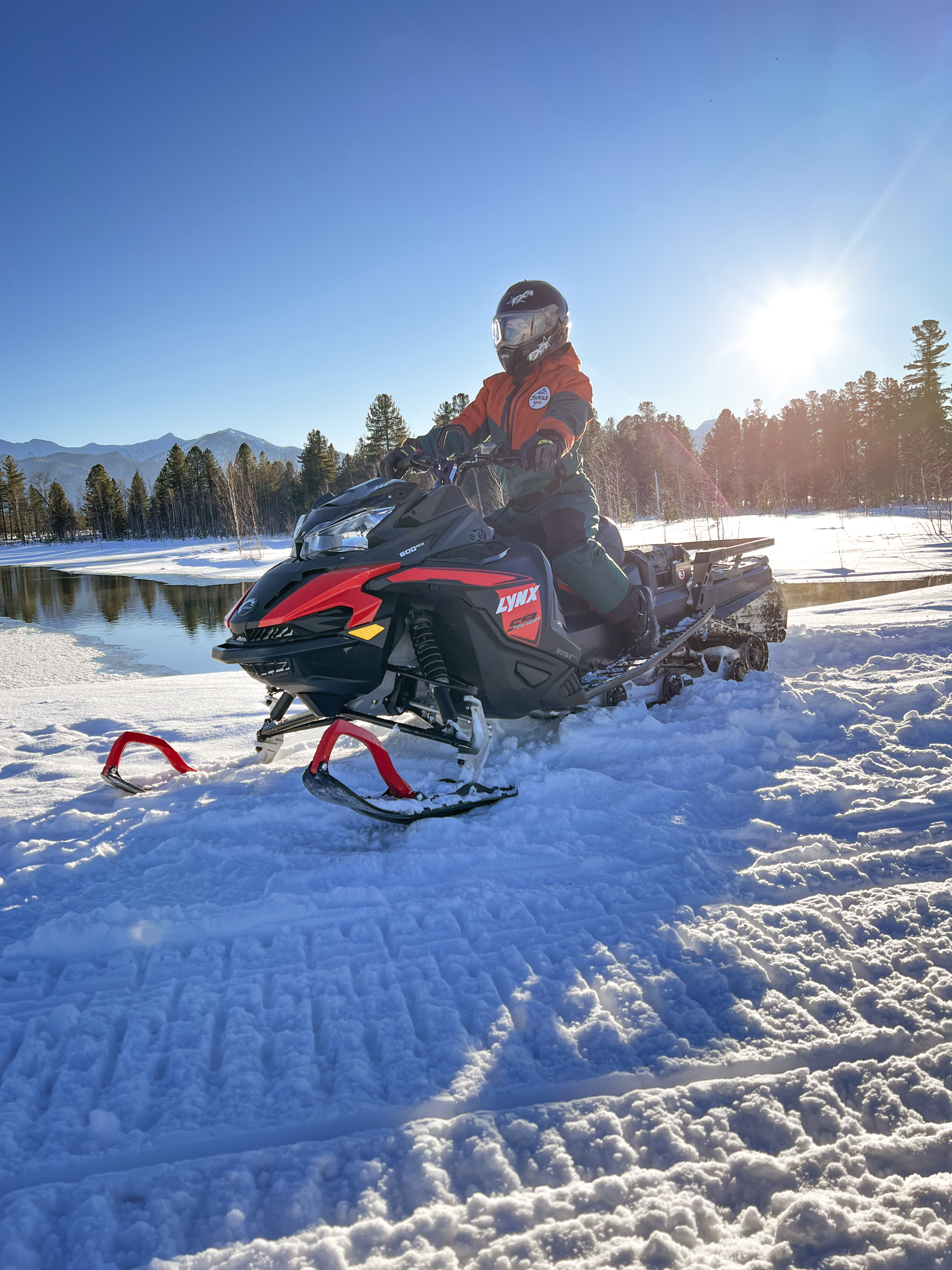 Фото Снежные Гуси