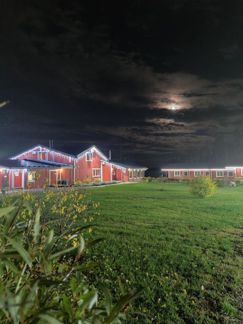 Фото Времена Года