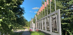 Нейлон порно видео