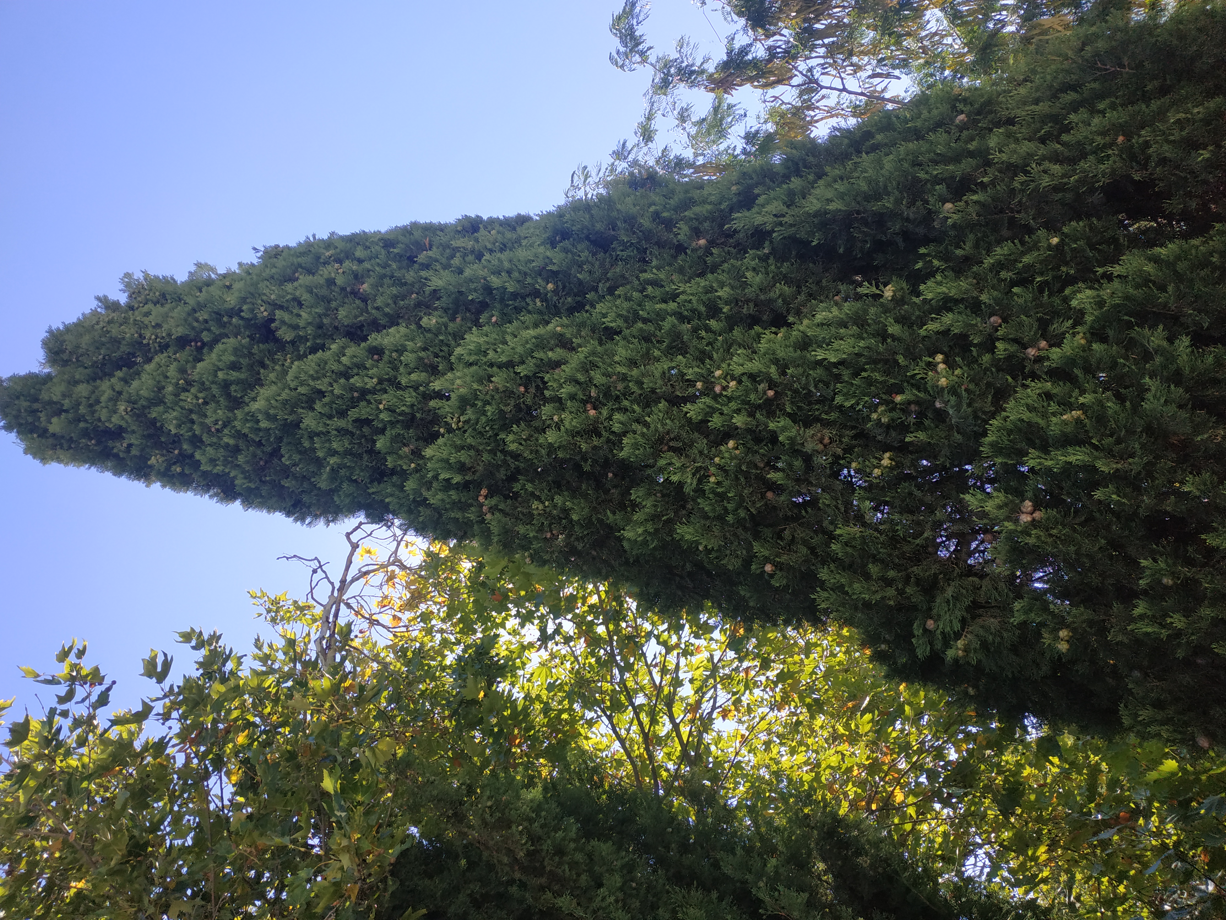 Фото Таврида