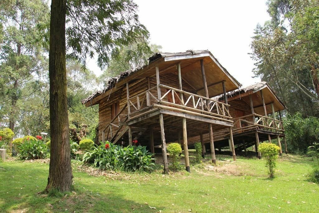 Hotel Supreme Adventure Park Bunyonyi, Earth, photo