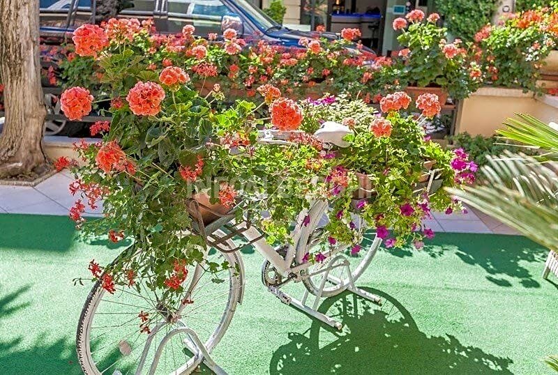 Фото Hotel River