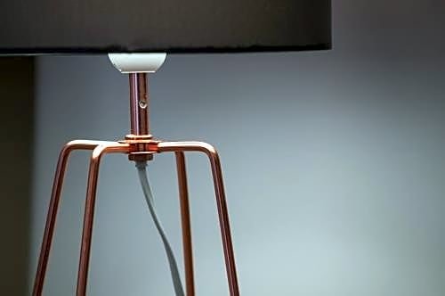 Фото Villa Albina