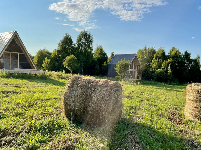 Фото Лаванда