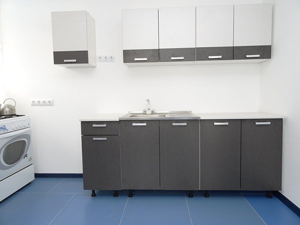 Фото Магнолия 2