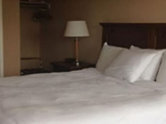 Фото Ceilidh Country Lodge