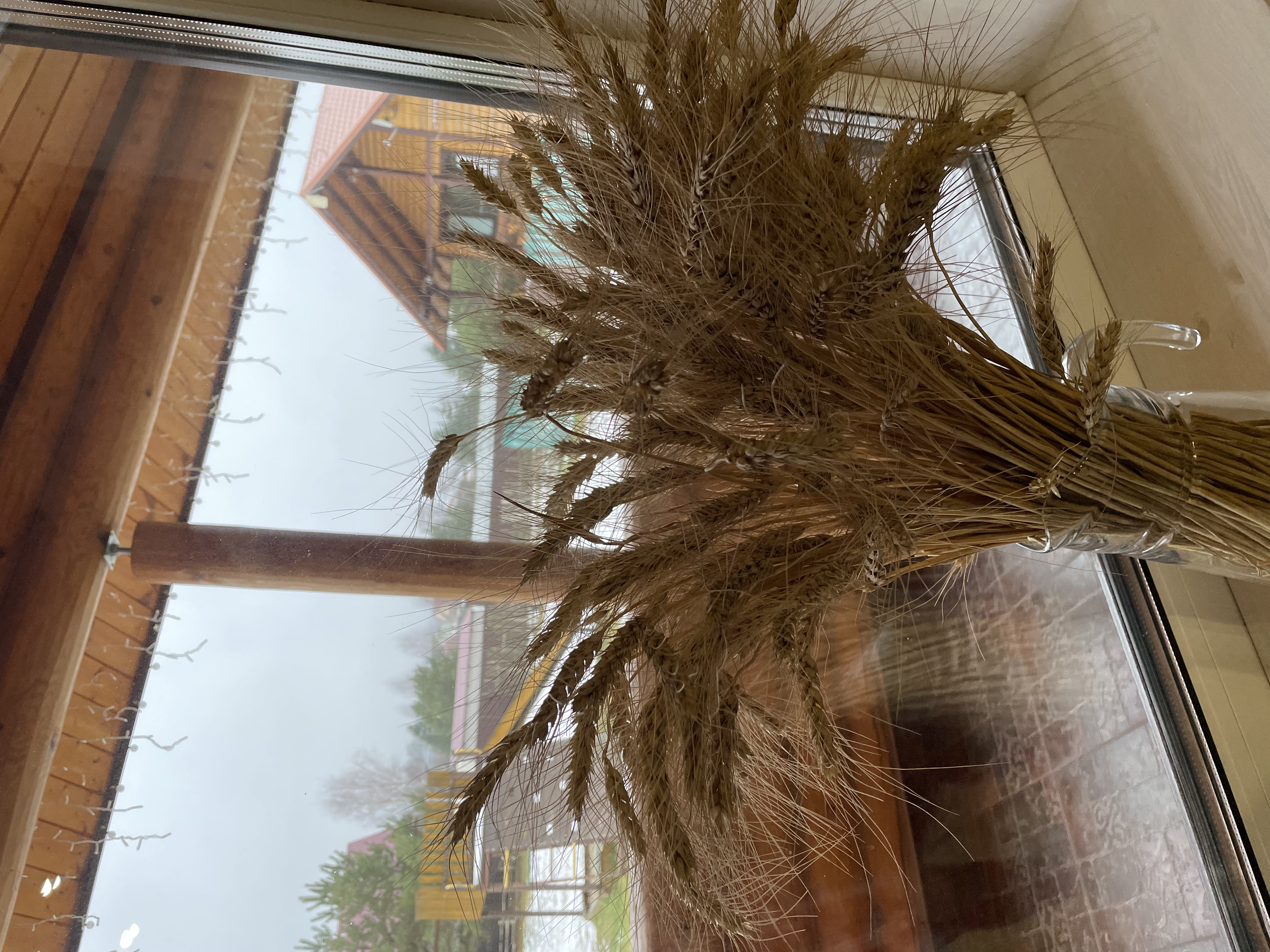 Фото Гридино Village