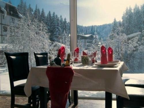 Гостиница Atrium Hotel Mountain View Predeal