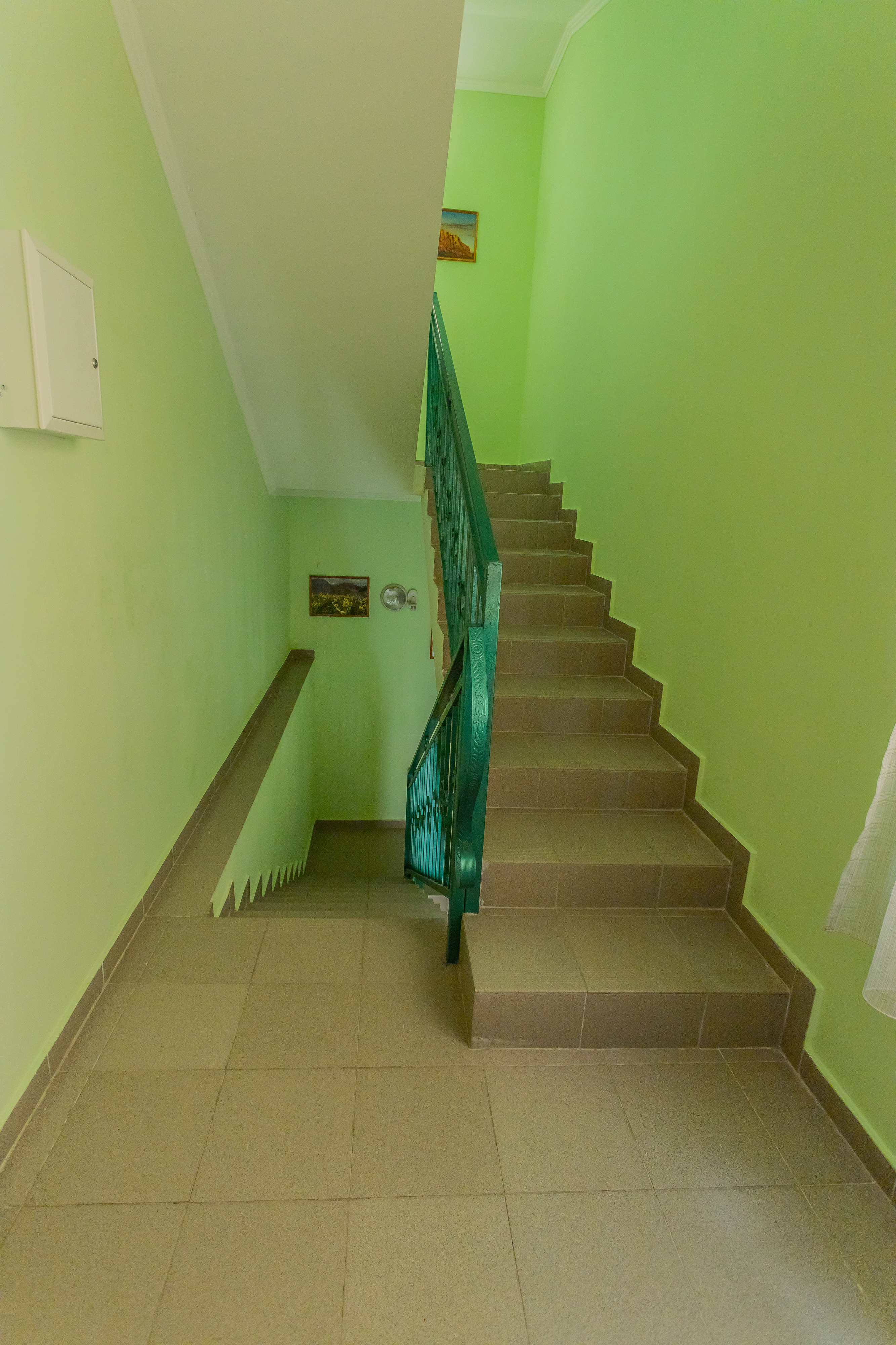 Фото Динара