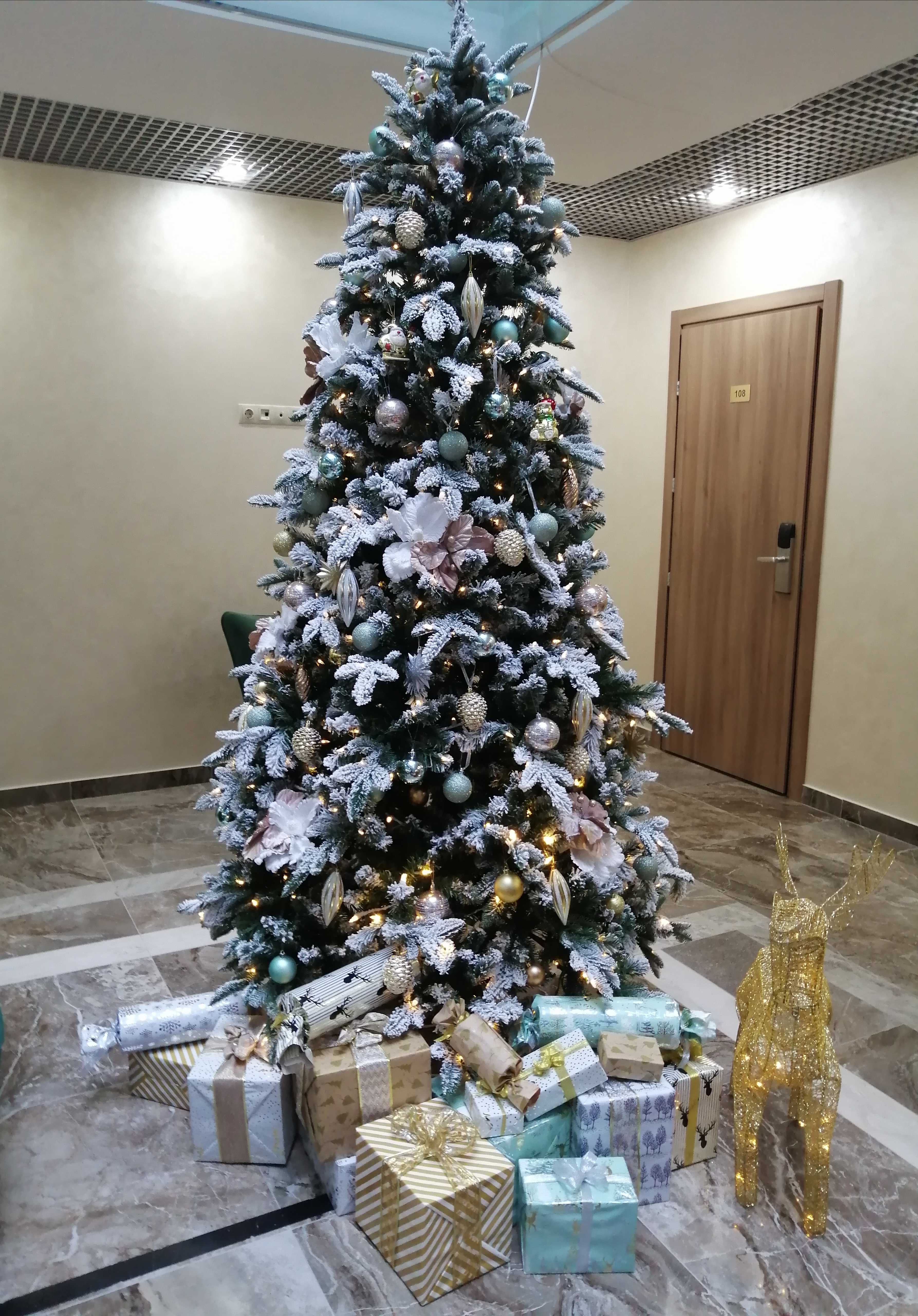 Фото Шанти Палас