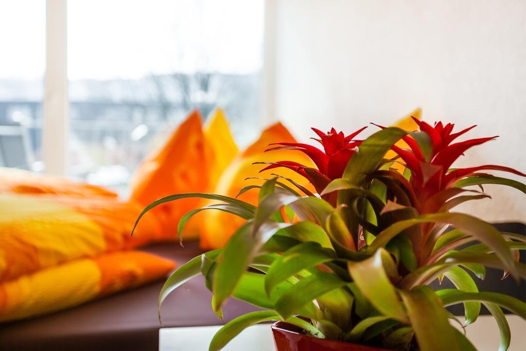 Фото Anstatthotel. ch Luzern