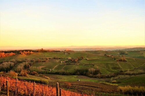 Отдых на ферме Agriturismo il Buonvicino