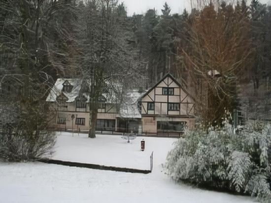 Фото Hotel Sieweburen