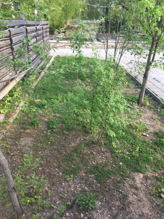 Фото Лофт в лесу