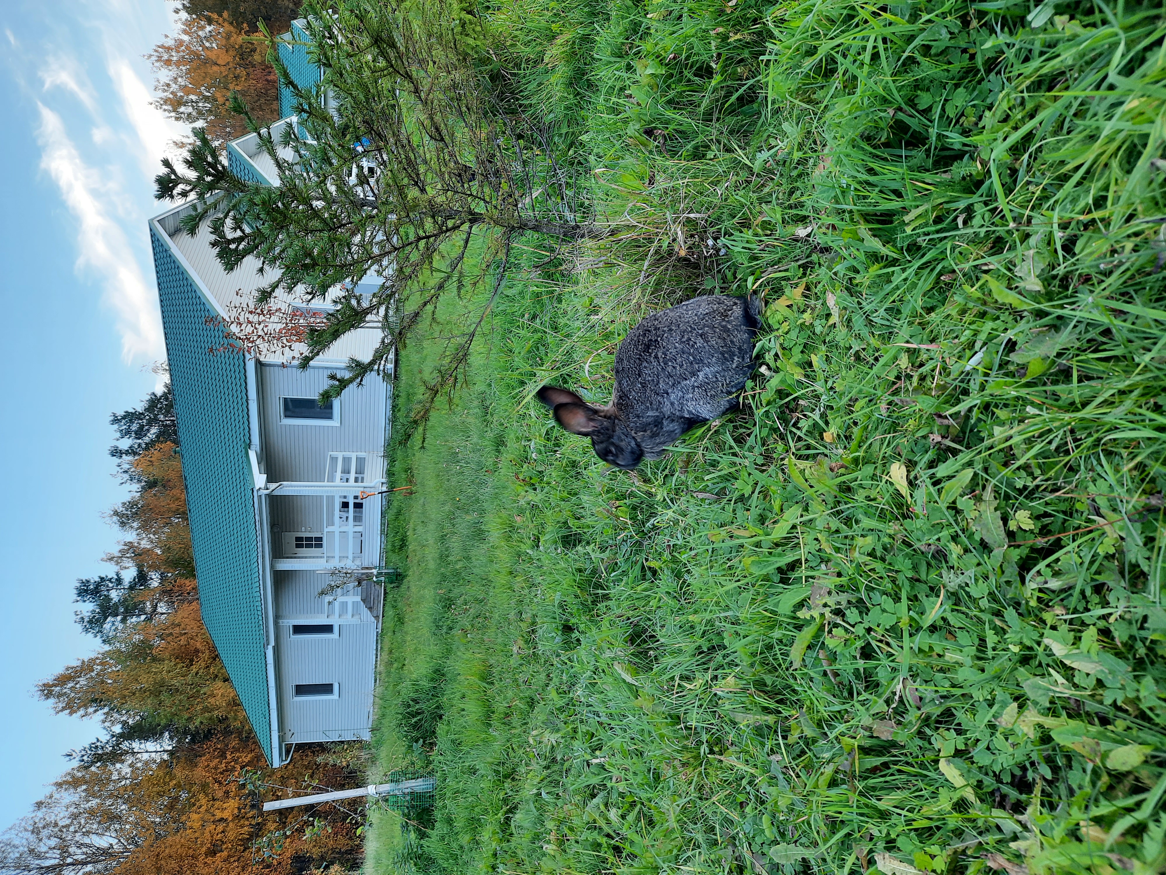 Фото Гостиница Старая Слобода