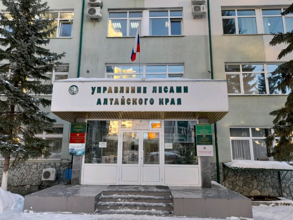 Government ministries, services Департамент по недропользованию по Сибирскому федеральному округу, Barnaul, photo