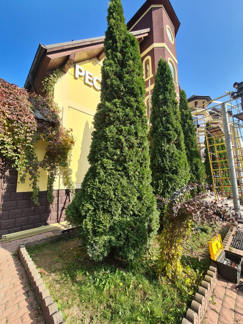 Фото Авшар Клаб