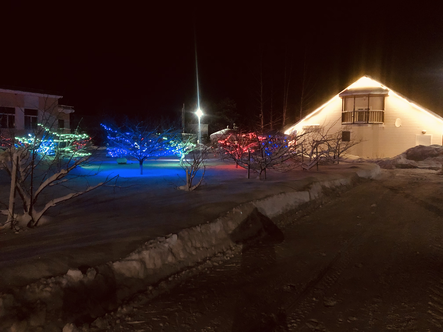 Фото Розовая дача