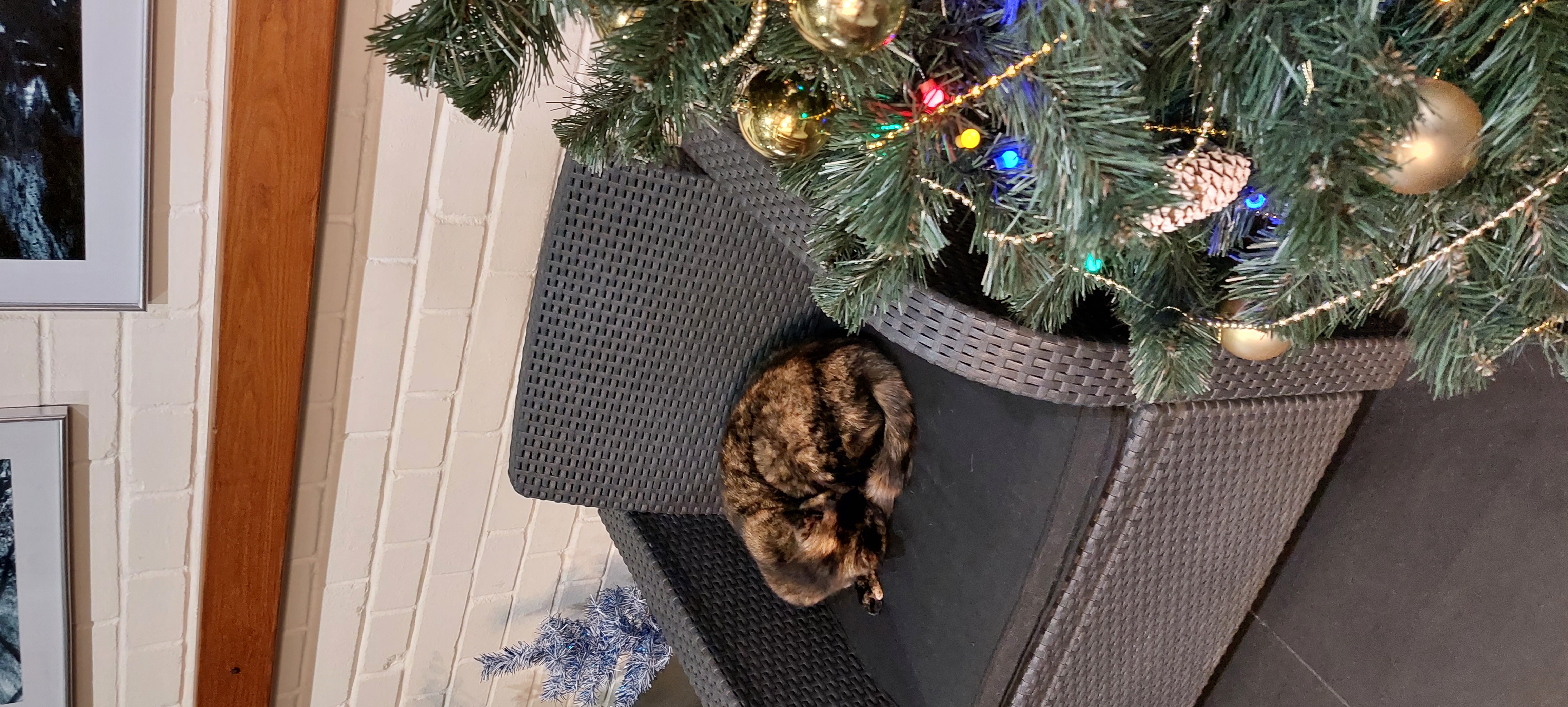 Фото Кексгольм