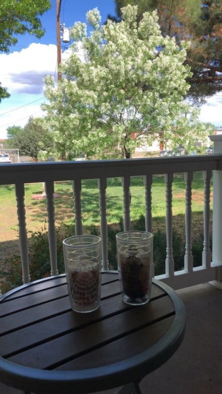 Фото Alpine Bed and Breakfast