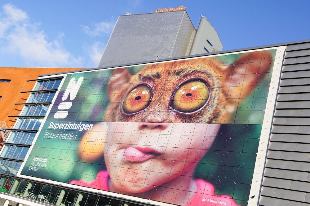 Фото Van der Valk hotel Sassenheim-Leiden